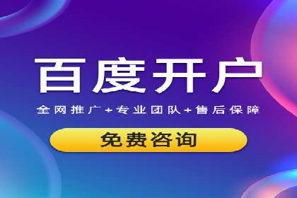SEM代运营机构案例分析：优化策略与执行